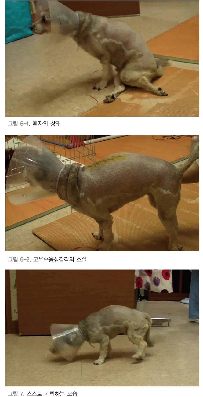 그림26.jpg