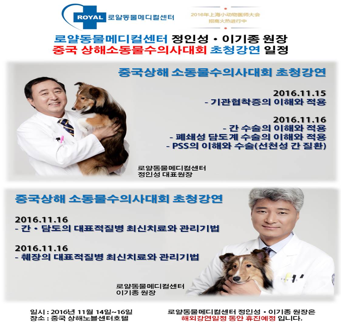 중국상해.jpg